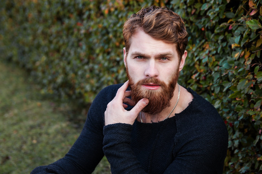 Best Beard Oil 2019